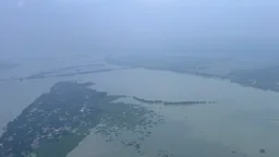 লাগাতার বৃষ্টি ও নেপালের পাহাড়ি ঢলে বিপর্যস্ত ভারতের বিহার-পশ্চিমবঙ্গ