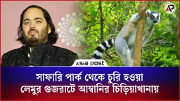 বাংলাদেশের সাফারি পার্ক থেকে চুরি হওয়া লেমুর গুজরাটে আম্বানির চিড়িয়াখানায়