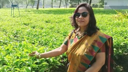 কুড়িকৃবির নতুন উপ-উপাচার্য হলেন শেকৃবির অধ্যাপক ড. নুর মহল