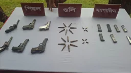 জঙ্গলে লুকানো ছিল ছয়টি পিস্তল-গুলি-ম্যাগাজিন, উদ্ধার করল বিজিবি