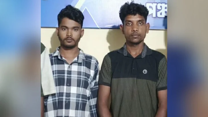 অপহরণের পর স্কুলছাত্রীকে ধর্ষণ, হুমকির পর বিষপানে মৃত্যু