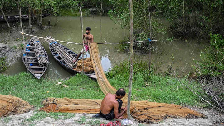 বাংলাদেশের সুন্দরবনে বন্ধের পথে যুক্তরাজ্যের জলবায়ু প্রকল্প