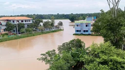 উজানের ঢলে আখাউড়ায় ডুবেছে ২৫০ হেক্টর ধানি জমি, প্লাবনের শঙ্কায় নিম্নাঞ্চল
