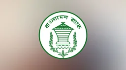 এই মুহূর্তে ব্যাংকিং লেনদেনে কোনো ঝুঁকি নেই: বাংলাদেশ ব্যাংক