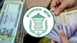 ২০ লাখ টাকা ঋণ পাবেন তরুণ উদ্যোক্তারা, যেভাবে আবেদন