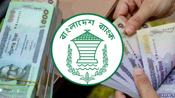 ২০ লাখ টাকা ঋণ পাবেন তরুণ উদ্যোক্তারা, যেভাবে আবেদন