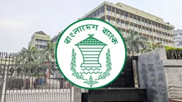 তরুণ উদ্যোক্তাদের জন্য ২০ লাখ টাকা ঋণের পরিকল্পনা, যারা পাবেন