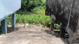 নিজেকে ‘অসহায়’ দাবি করে সরকারি ঘাটলায় দোকান চাইলেন বিএনপি নেতা
