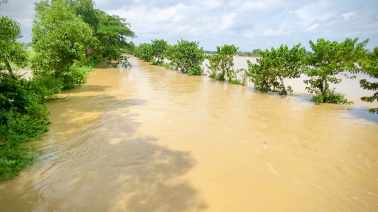 আখাউড়ায় উজানের ঢলে ডুবে যাওয়া সড়ক ও ফসলি জমি। ছবি: এশিয়া পোস্ট
