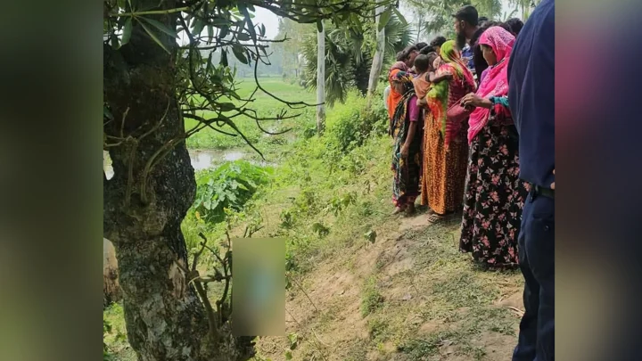 খোঁজ নেই অটোরিকশার, চালকের মরদেহ মিলল ডোবায়
