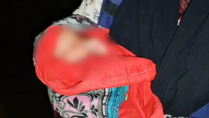 সন্ধ্যায় ঝোপ থেকে ভেসে এলো কান্না, গিয়ে দেখা গেল নবজাতক