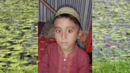 মোল্লাহাটে নিখোঁজের ৪ দিন পর ঘের থেকে শিশুর মরদেহ উদ্ধার