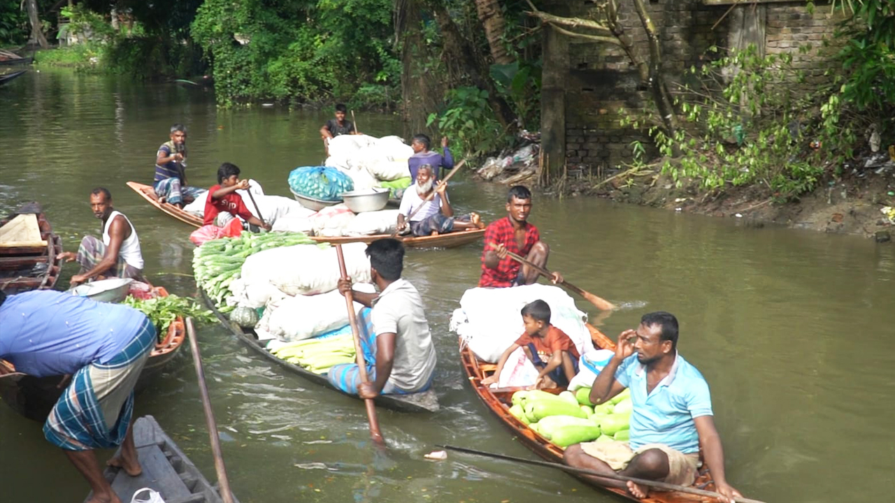 এই ব্যতিক্রমী ভাসমান হাটে মাত্র চার ঘণ্টাতেই কেনাবেচা হয় প্রায় ২০ থেকে ২৫ লাখ টাকার সবজি। ছবি: এশিয়া পোস্ট