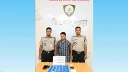 আন্ডারওয়্যারে লুকানো ছিল ৪ হাজার ইয়াবা, গ্রেপ্তার কাপড় ব্যবসায়ী