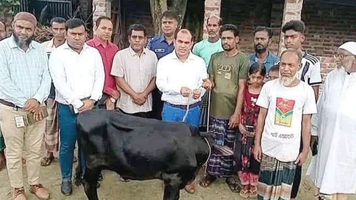 প্রতিমন্ত্রীর গাড়ির ধাক্কায় নিহত সেই নারীর পরিবারকে গাভি উপহার