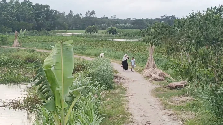 রোগবালাই বেশি হওয়ায় এলাকার নাম ‘বালাকান্দি’