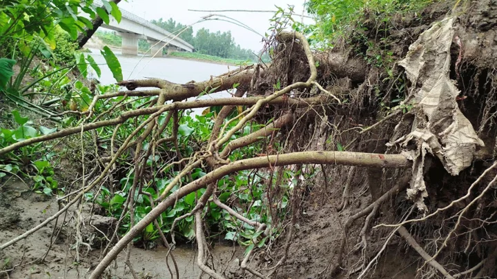 বাঙালি নদীর ভাঙন ঝুঁকিতে ২৮ কোটি টাকার ত্রিমোহনী সেতু