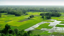 জমির প্রকারভেদ: কোন জমিকে কী নামে চেনা যায়