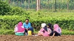 সীমান্তে ৬ জনকে পুশইনের চেষ্টা, বিজিবির বাধায় পিছু হটল বিএসএফ
