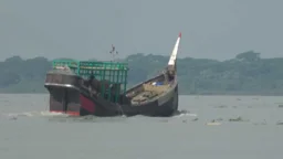 নিষেধাজ্ঞা শেষ হওয়ার আগেই চলছে ইলিশ শিকার