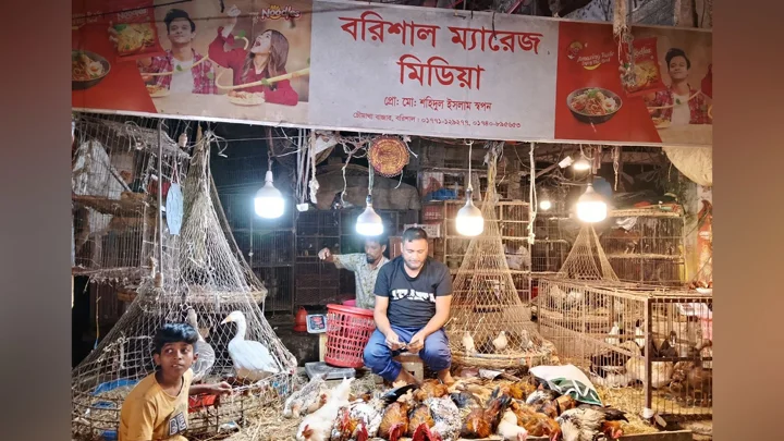 হাঁস-মুরগির দোকানে ম্যারেজ মিডিয়ার অফিস