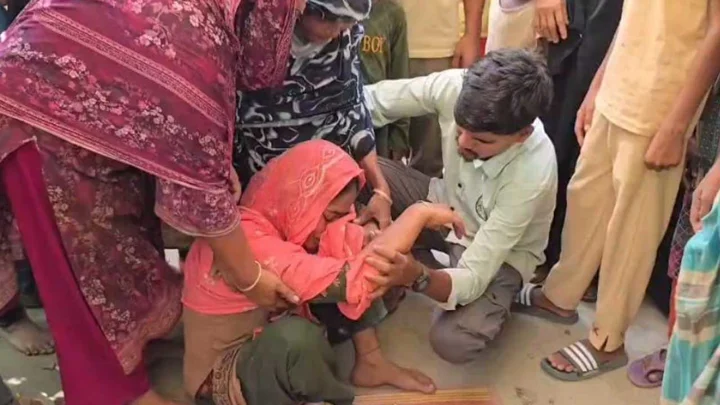 বল তুলতে পুকুরে নেমে প্রাণ গেল যমজ ২ ভাইয়ের