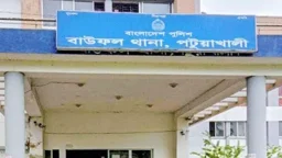পাওনা ৬০০ টাকা চাওয়ায় তিন ছেলেসহ মাকে কুপিয়ে জখম
