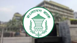 ব্যাংকের শেয়ার কিনতে কোম্পানির সম্পদের সীমা বেঁধে দিল বাংলাদেশ ব্যাংক