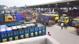 ভারত থেকে এলো কাঁচামরিচের প্রথম চালান