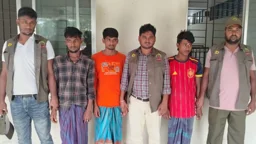 সংরক্ষিত বনাঞ্চলের খালে বিষ দিয়ে মাছ শিকার, তিন জেলে কারাগারে