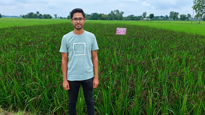 অনলাইনে বীজ কিনে শুরু, নজর কাড়ছে রকিবুলের ‘ব্ল্যাক রাইস’