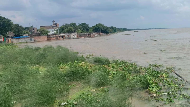 পানি কমলেও দুর্ভোগ কাটেনি চরাঞ্চলের মানুষের 