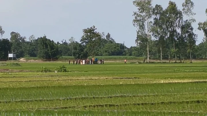 গরু বিক্রি করতে এসে ধরা, তিন ভারতীয়কে ফেরত পাঠাল বিজিবি