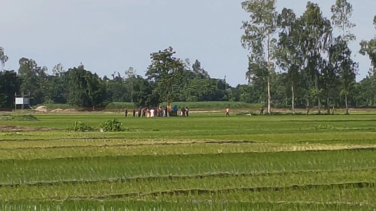 গরু বিক্রি করতে এসে ধরা, তিন ভারতীয়কে ফেরত পাঠাল বিজিবি