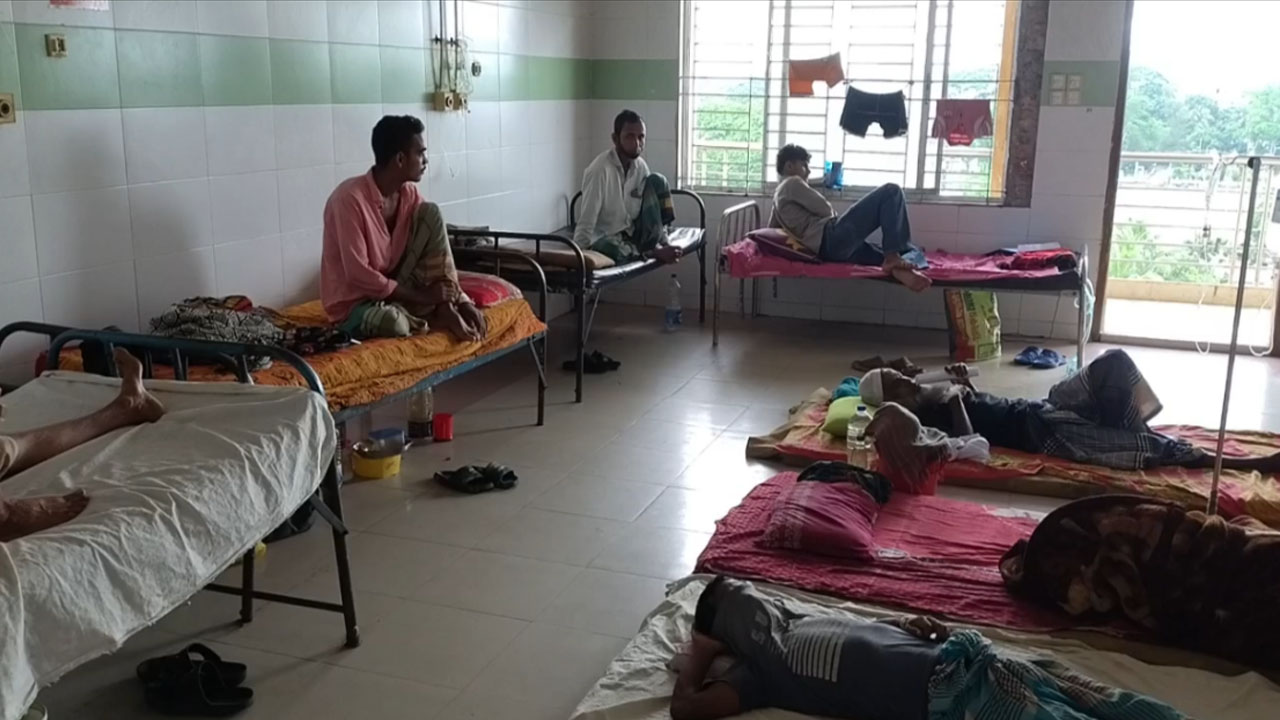 বরগুনায় প্রতিদিন হাসপাতালে ভর্তি ৩৪ ডেঙ্গু রোগী, মশারি ব্যবহারেও অনীহা