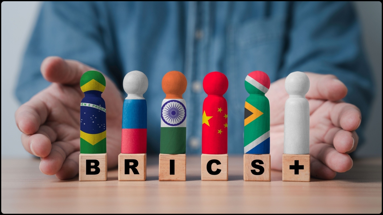 ছবি: দ্য ডেইলি আকোনমি