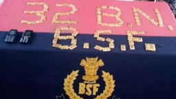বাংলাদেশ থেকে পাচারকালে ভারতে উদ্ধার ১১ কেজির বেশি সোনা