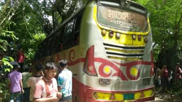 আলীকদমে গাছের সঙ্গে বাসের ধাক্কা, নিহত ১