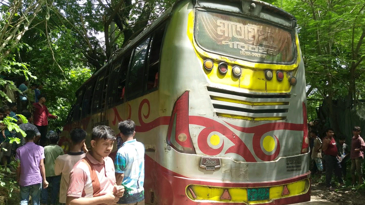 bus-alikodom