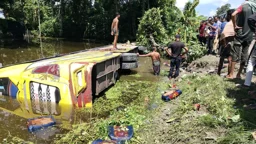 নিয়ন্ত্রণ হারিয়ে পুকুরে বাস, প্রাণে বাঁচলেন ২৫ যাত্রী