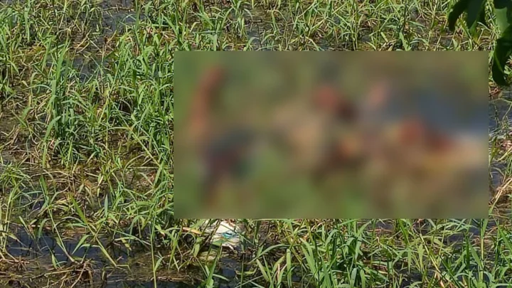 দুর্গন্ধের উৎস খুঁজতে গিয়ে মিলল শতবর্ষী বৃদ্ধার মরদেহ