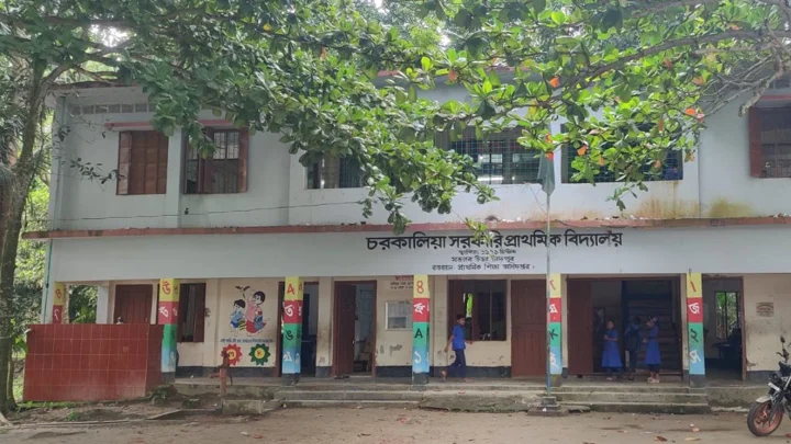 চাঁদপুরের ৬৪২ প্রাথমিক বিদ্যালয়ে নেই প্রধান শিক্ষক, ব্যাহত পাঠদান