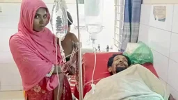 বাড়িতে পুষছিলেন গোখরা, কামড় খেয়ে হাসপাতালে কাঠমিস্ত্রি