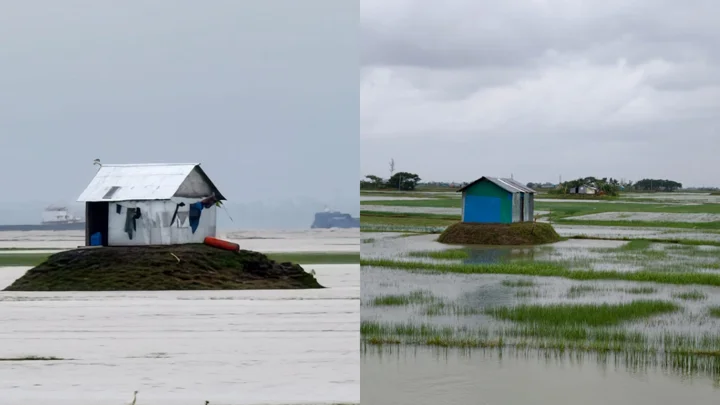 জেগে ওঠা চরে দখলের ছক, উঠছে সারি সারি ঝুপড়ি ঘর