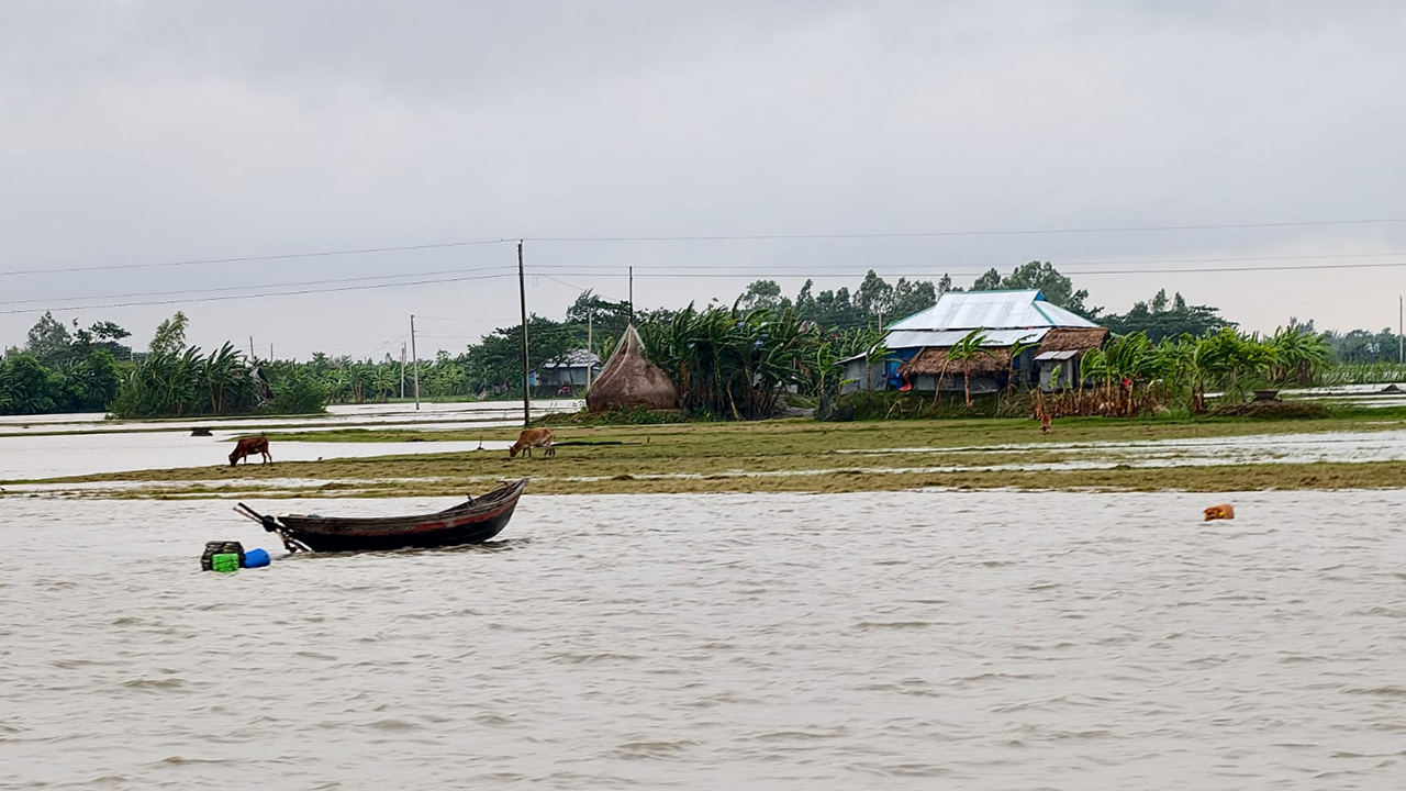 চরে গড়ে উঠা বসতি। ছবি : এশিয়া পোস্ট