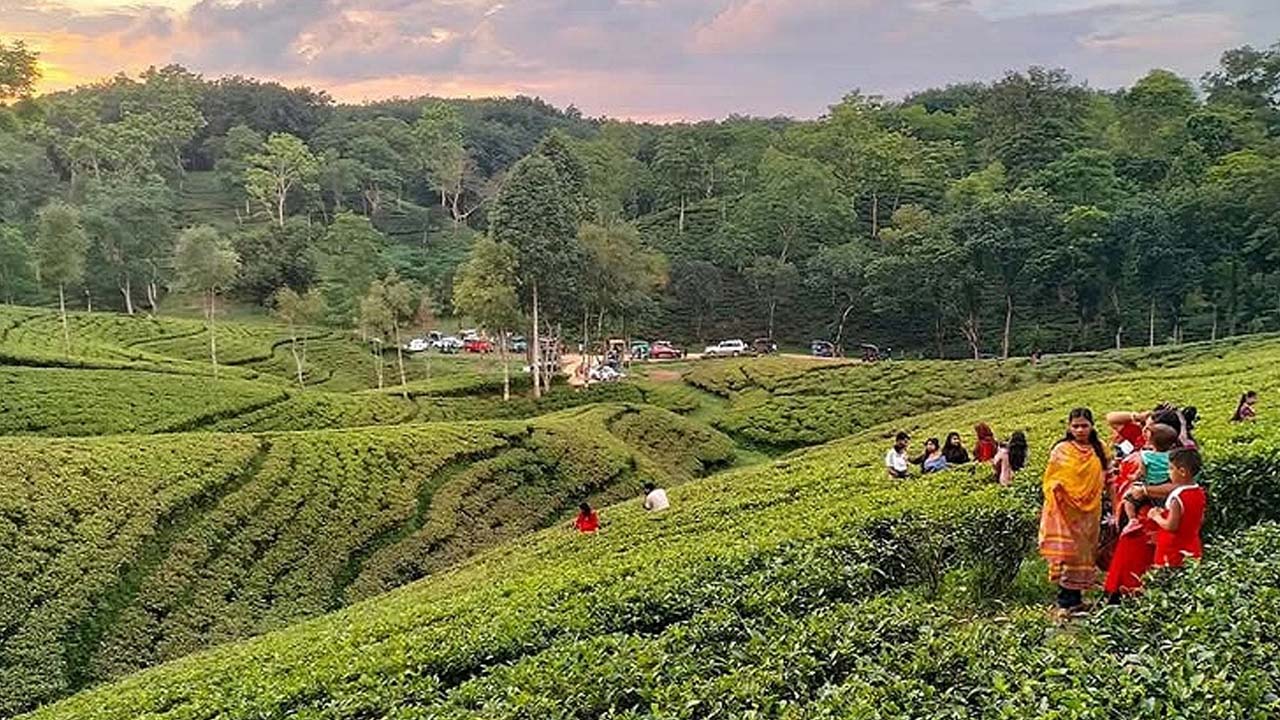 পূজার ছুটিতে চায়ের রাজ্যে পর্যটকদের ঢল, যেসব জায়গায় ঘুরবেন