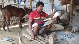 এক পরিবারের ‘স্বজন’ পুরো গ্রাম