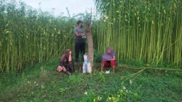চুয়াডাঙ্গা সীমান্তে তিনজনকে পুশইনের চেষ্টা, প্রতিহত করল বিজিবি