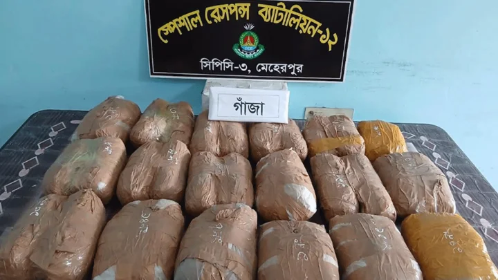 পরিত্যক্ত কুয়ায় মিলল বস্তাভর্তি গাঁজা, গ্রেপ্তার ১