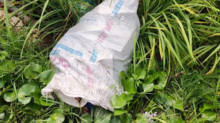 ধানক্ষেতে পড়ে ছিল অটোচালকের মরদেহ